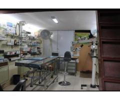 Dogs and Cats Veterinary Clinic