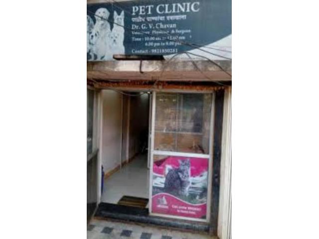 Sai Prasad Pet clinic