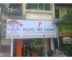 Pluto Pet Clinic