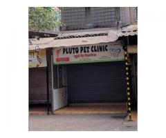 Pluto Pet Clinic (Malad)