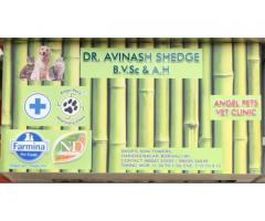 Angel Pets Veterinary Clinic