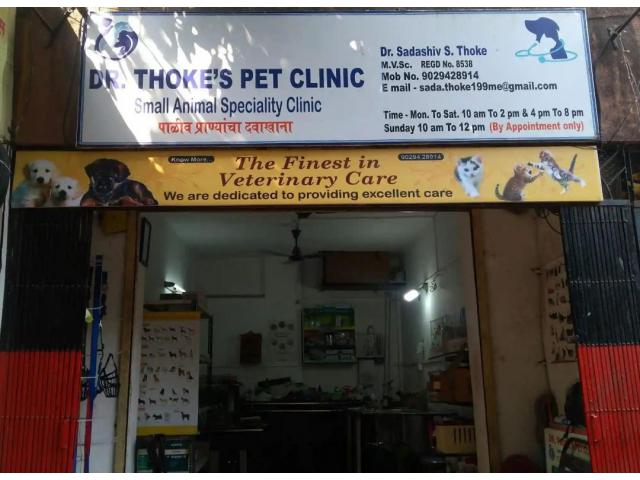 Dr. Thoke Pet Clinic Mumbai - Prani Mitra