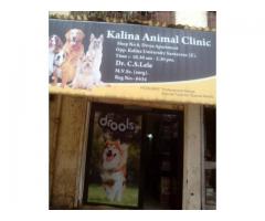 Super Pets Small Animal Clinic Mumbai - Prani Mitra