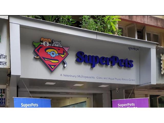 Super Pets Small Animal Clinic Mumbai - Prani Mitra