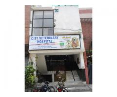 City Veterinary Hospital